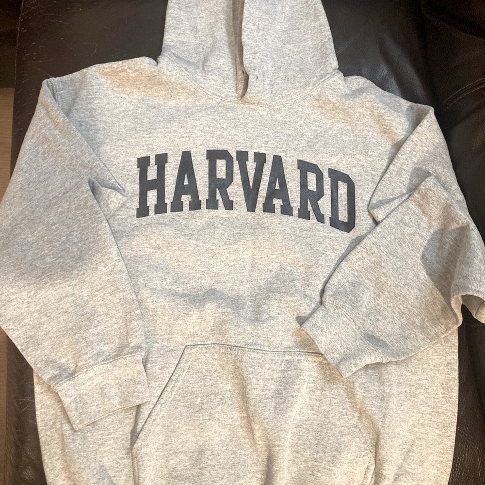 Harvard hoodie missing string for hood but other than that in great shape.
